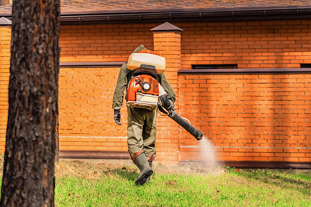 Trusted Emergency Pest Control service in Humboldt, TN - Nex Pest Control
